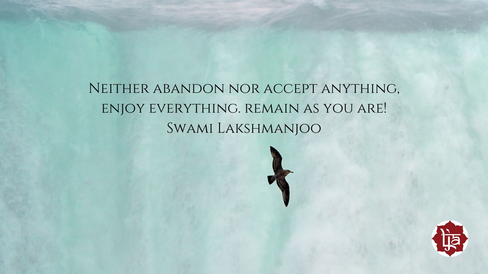 Neither abandon nor accept anything, enjoy everything. remain as you are! ~Swami Lakshmanjoo